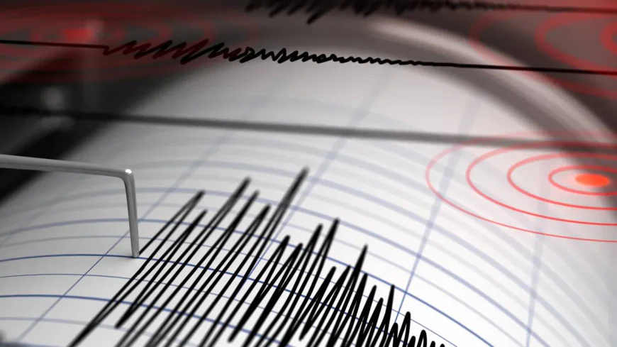 7.8’lik Deprem Rusya’yı Salladı